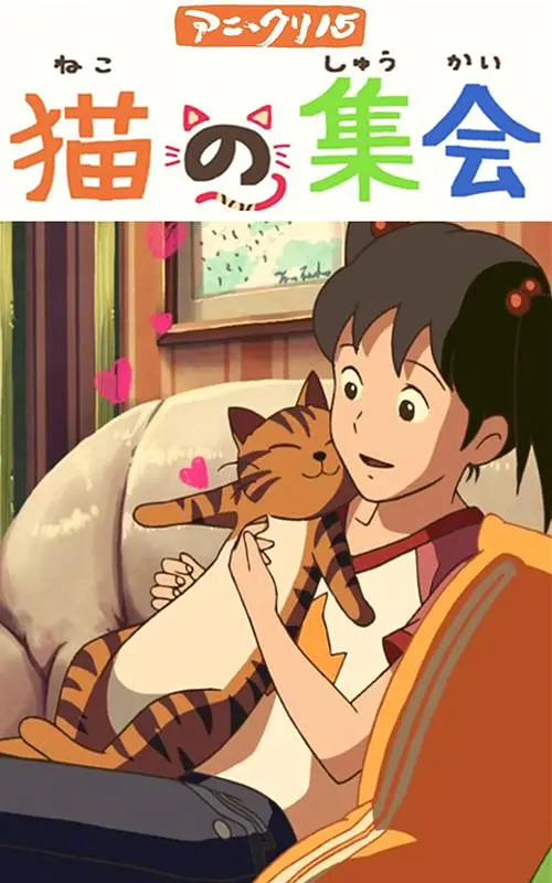 完结高清影视