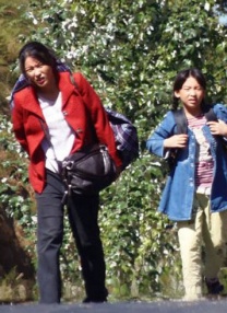 清晰在线播放观看