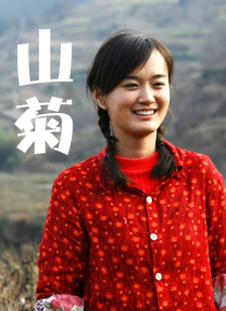 完结完整版观看