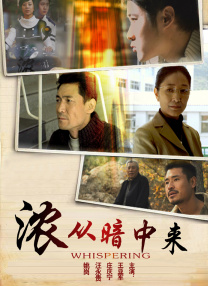 BD国语全集免费观看