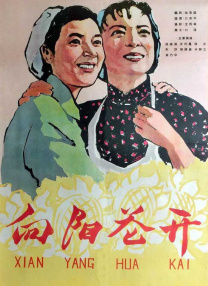 BD国语全集免费观看